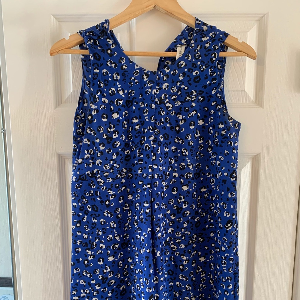 Amour Vert sample size leopard shift silk dress